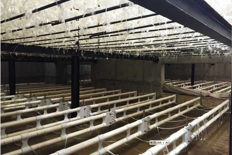 接触氧化工艺改造